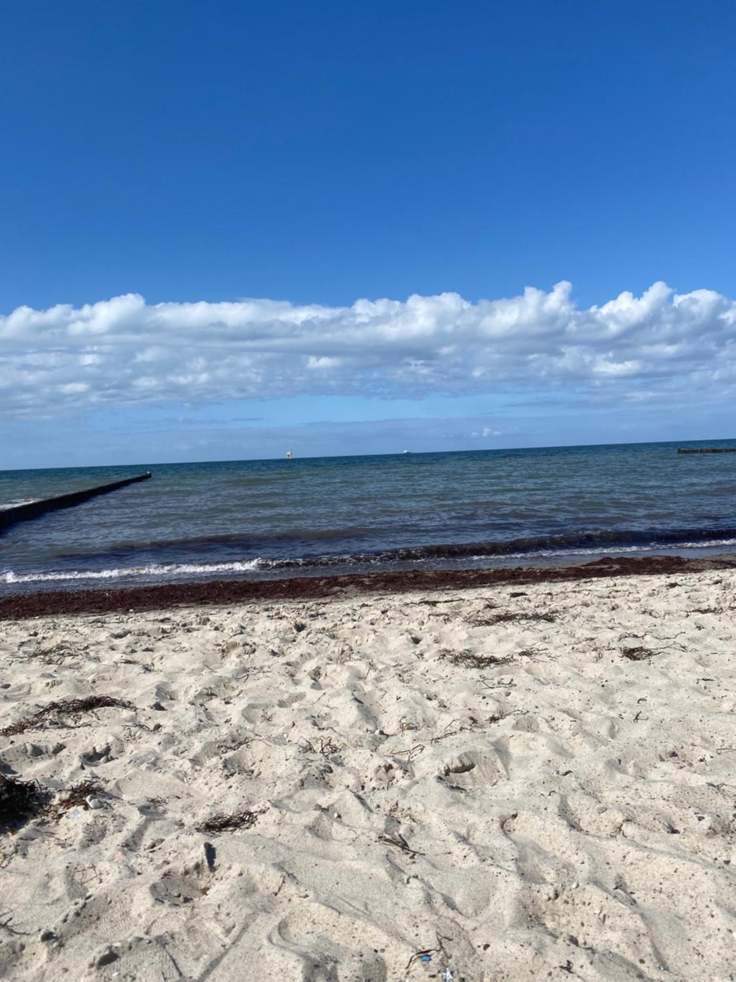 Ostsee-Ferienwohnung-Lipsia Nienhagen Eksteriør billede